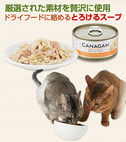 カナガン悪評猫