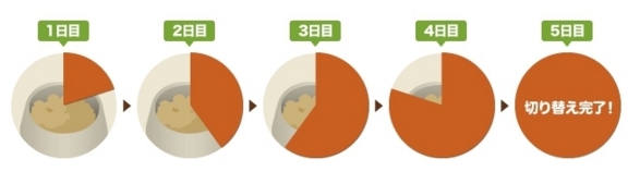 カナガン悪評猫